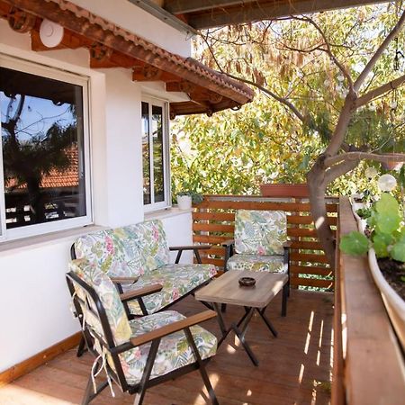 Star Suite - Rural Experience - Northeast Point Majdal Shams Esterno foto